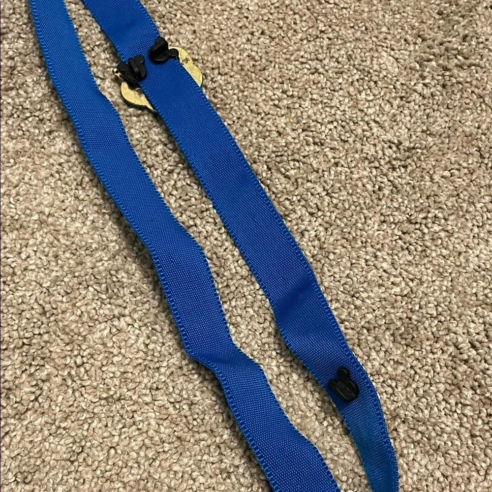 Disney pins Blue Star Pattern lanyard with 2 pins - Picture 8 of 8